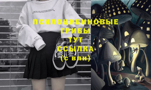 дмт Абинск